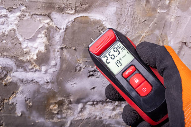 Best Mold Cleaning Services  in Perry, UT