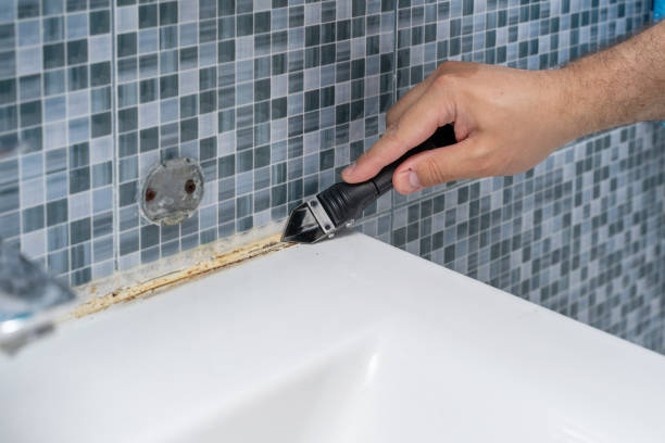 Best Best Mold Removal Companies  in Perry, UT